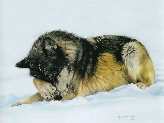 Pretty cool paintings by Lesley Harrison (29 pics)