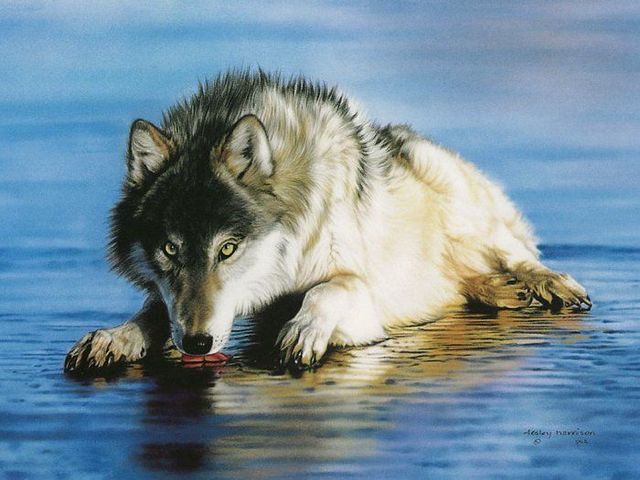 Pretty cool paintings by Lesley Harrison (29 pics)