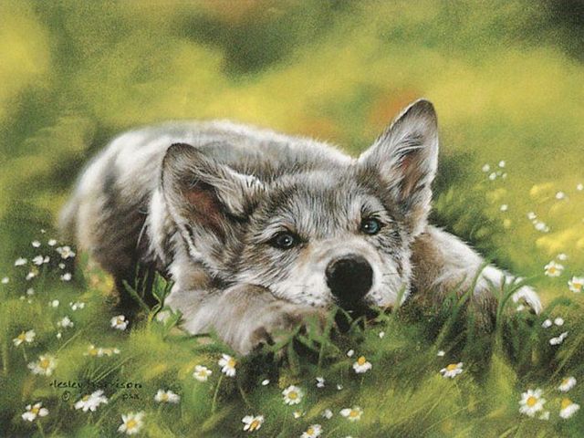 Pretty cool paintings by Lesley Harrison (29 pics)