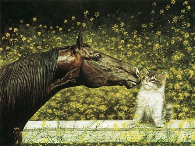 Pretty cool paintings by Lesley Harrison (29 pics)