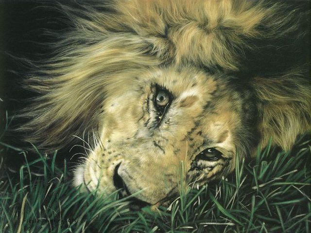 Pretty cool paintings by Lesley Harrison (29 pics)