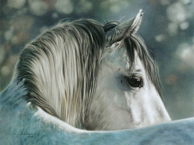 Pretty cool paintings by Lesley Harrison (29 pics)