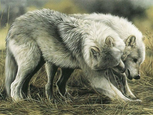 Pretty cool paintings by Lesley Harrison (29 pics)