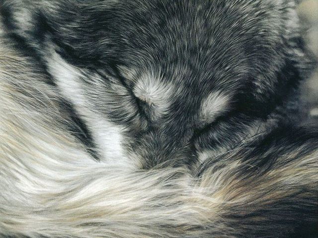 Pretty cool paintings by Lesley Harrison (29 pics)