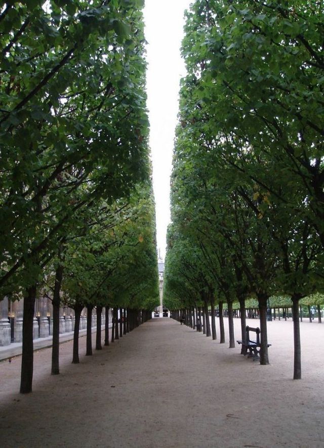 many_pic_58.jpg