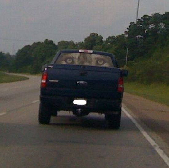 Daily picdump (104 pics)