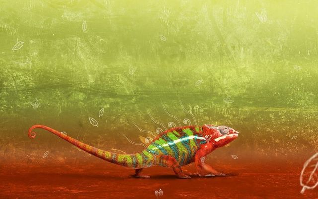 Wallpaper mix (68 pics)