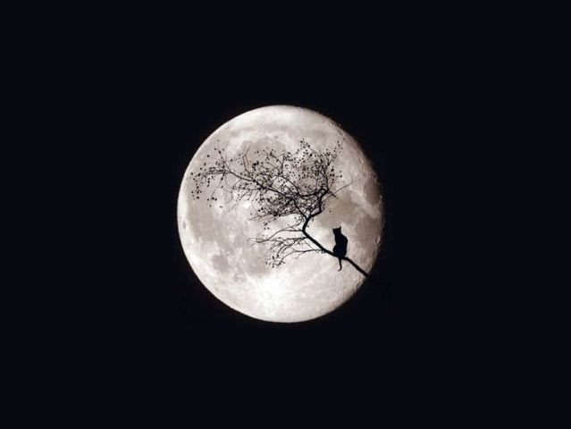 Wallpaper mix (68 pics)