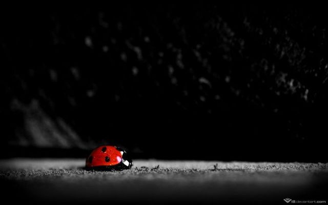 Wallpaper mix (68 pics)