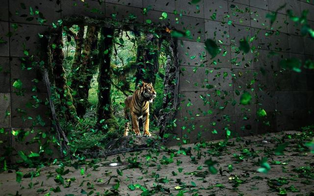 Wallpaper mix (68 pics)