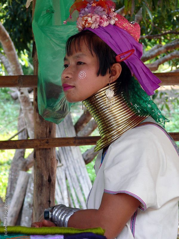 Padaung. Long-neck women (35 pics)