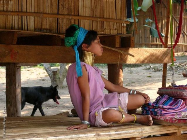 Padaung. Long-neck women (35 pics)