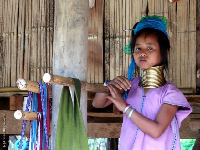 Padaung. Long-neck women (35 pics)