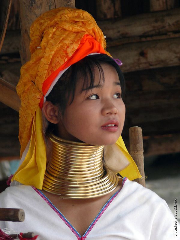 Padaung. Long-neck women (35 pics)