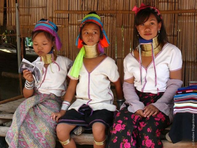 Padaung. Long-neck women (35 pics)