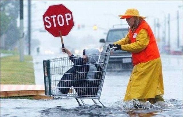 Flooding is not a reason to be upset ;) (36 photos)
