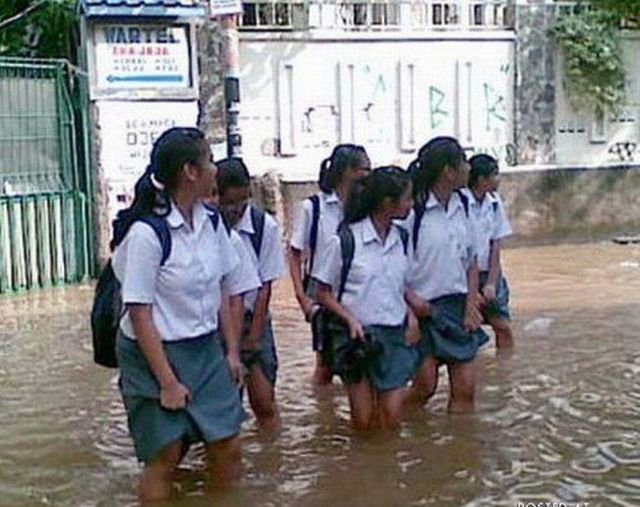 Flooding is not a reason to be upset ;) (36 photos)