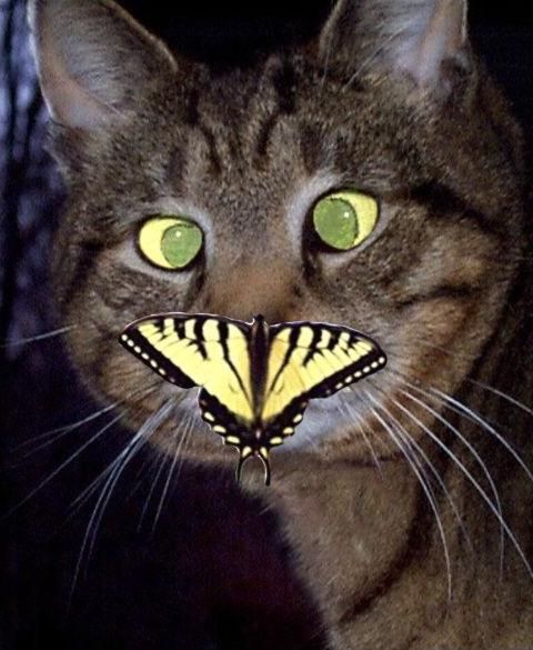 Daily picdump (103 pics)