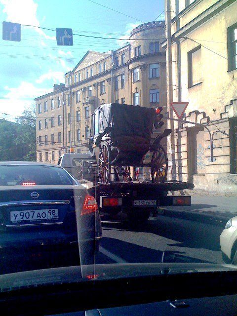Daily picdump (103 pics)