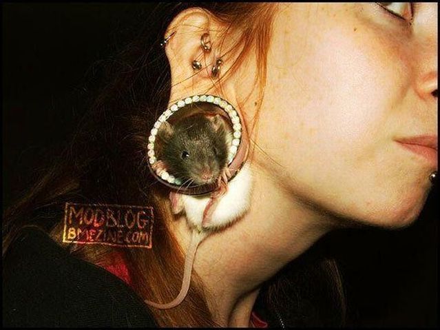 Daily picdump (103 pics)