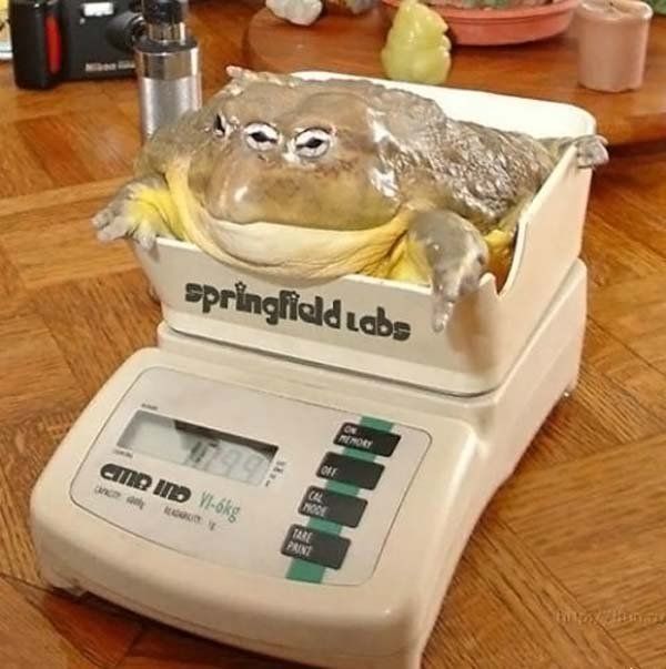 Daily picdump (103 pics)
