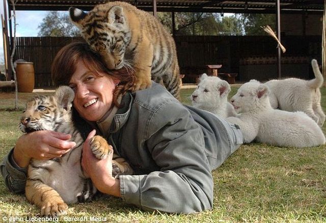 Courageous woman? (6 pics)