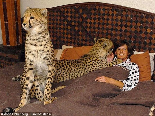 Courageous woman? (6 pics)