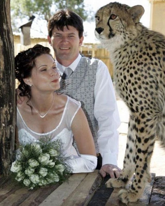 Courageous woman? (6 pics)