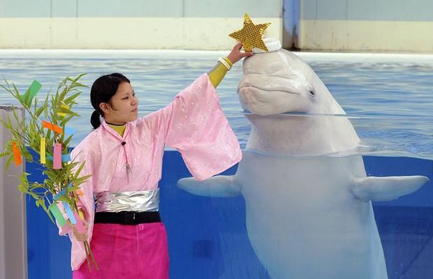 Daily picdump (121 pics)