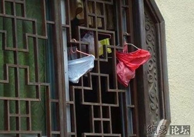 Daily picdump (121 pics)