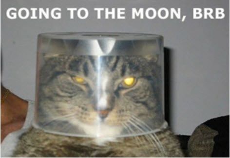 Daily picdump (121 pics)