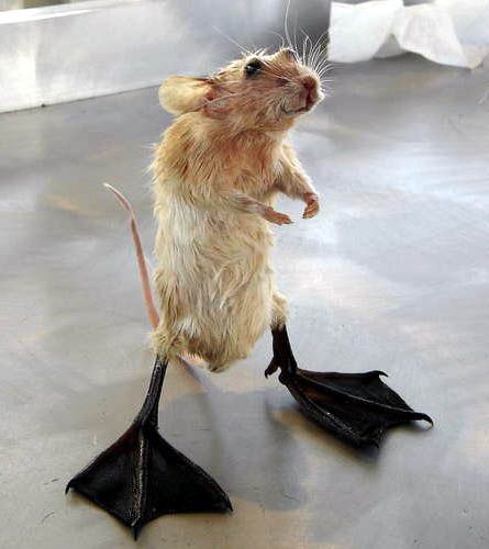 Daily picdump (121 pics)