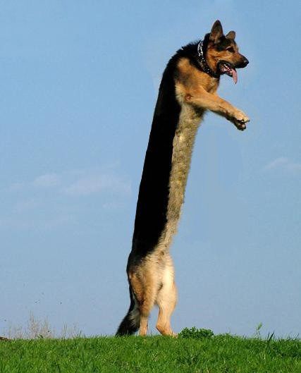 Daily picdump (121 pics)