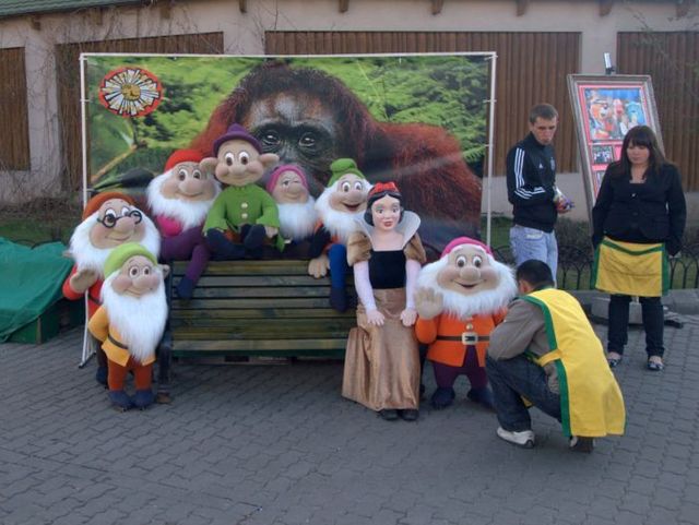 Daily picdump (121 pics)