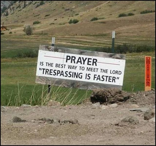 Daily picdump (121 pics)