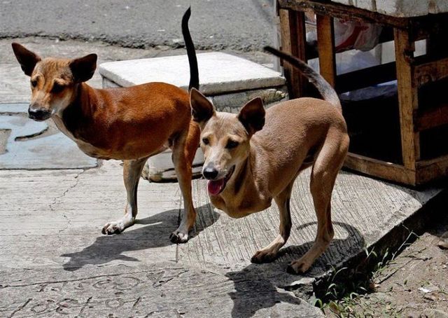 Daily picdump (121 pics)
