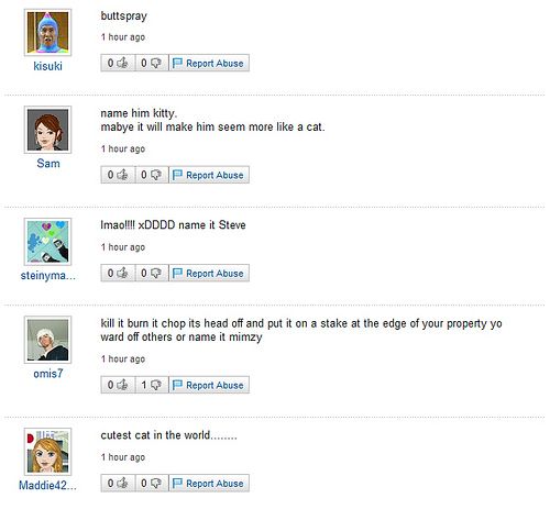 Funny Yahoo questions and answers (58 stories)