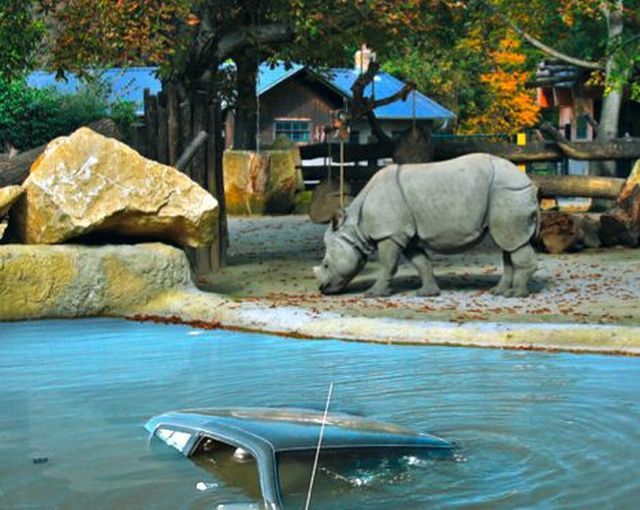 Nature in danger (9 pics)