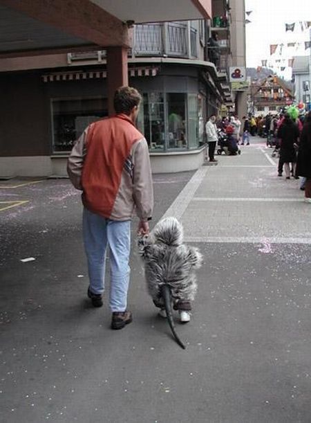 Daily picdump (125 pics) Daily picdump (125 pics)