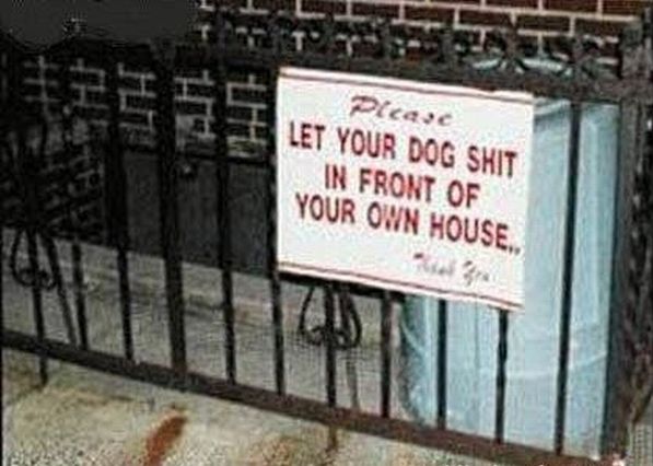 Daily picdump (125 pics)