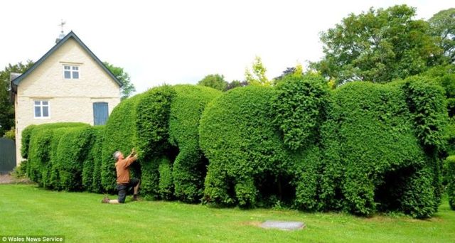 Daily picdump (125 pics)