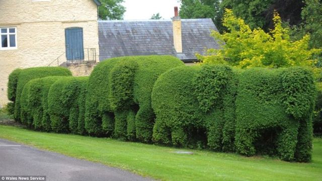 Daily picdump (125 pics)