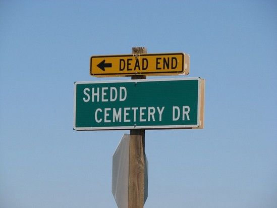 Daily picdump (125 pics)