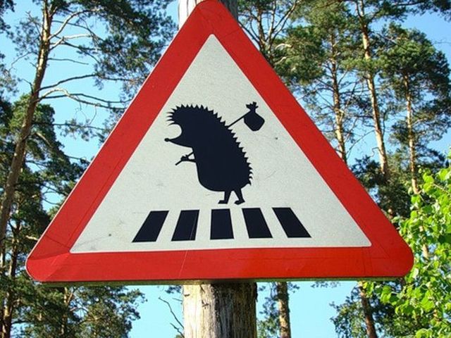 Daily picdump (125 pics)