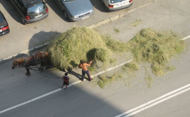 Daily picdump (125 pics)