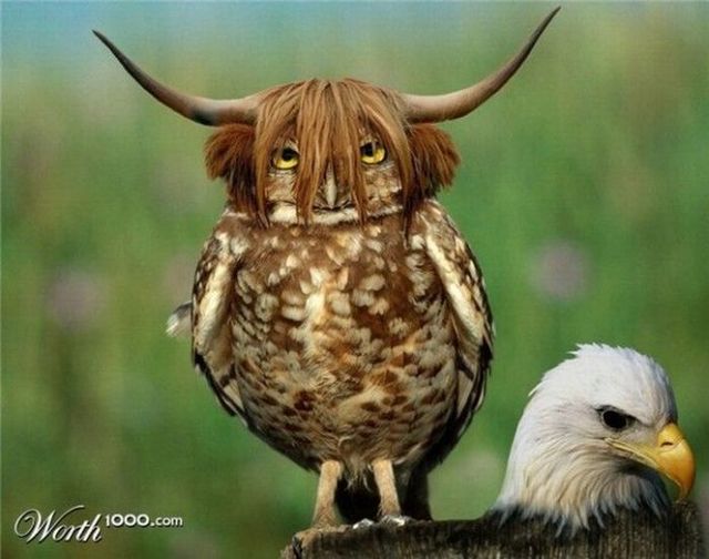 Daily picdump (125 pics)