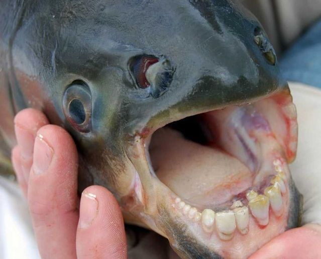 Daily picdump (125 pics)