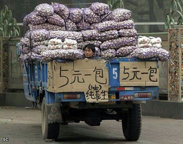 Daily picdump (125 pics)