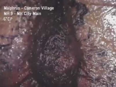 Aliens have come on Earth and they are very ugly!! (1 video)