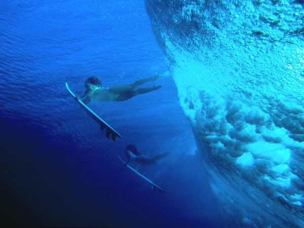 One photo is worth one thousand words (38 pics)